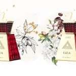Loris Giza EDP Parfüm Nasıl Kokusu Var?